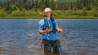 Visse miljømessige innvirkninger på vannmiljøer kan intensivere algevekst som vil kunne gi betydelig og negativ algeoppblomstring.


